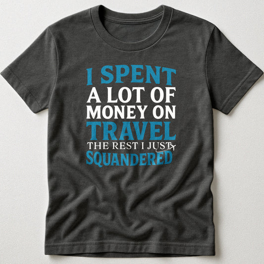 I Spent A Lot on Travel - T-Shirt